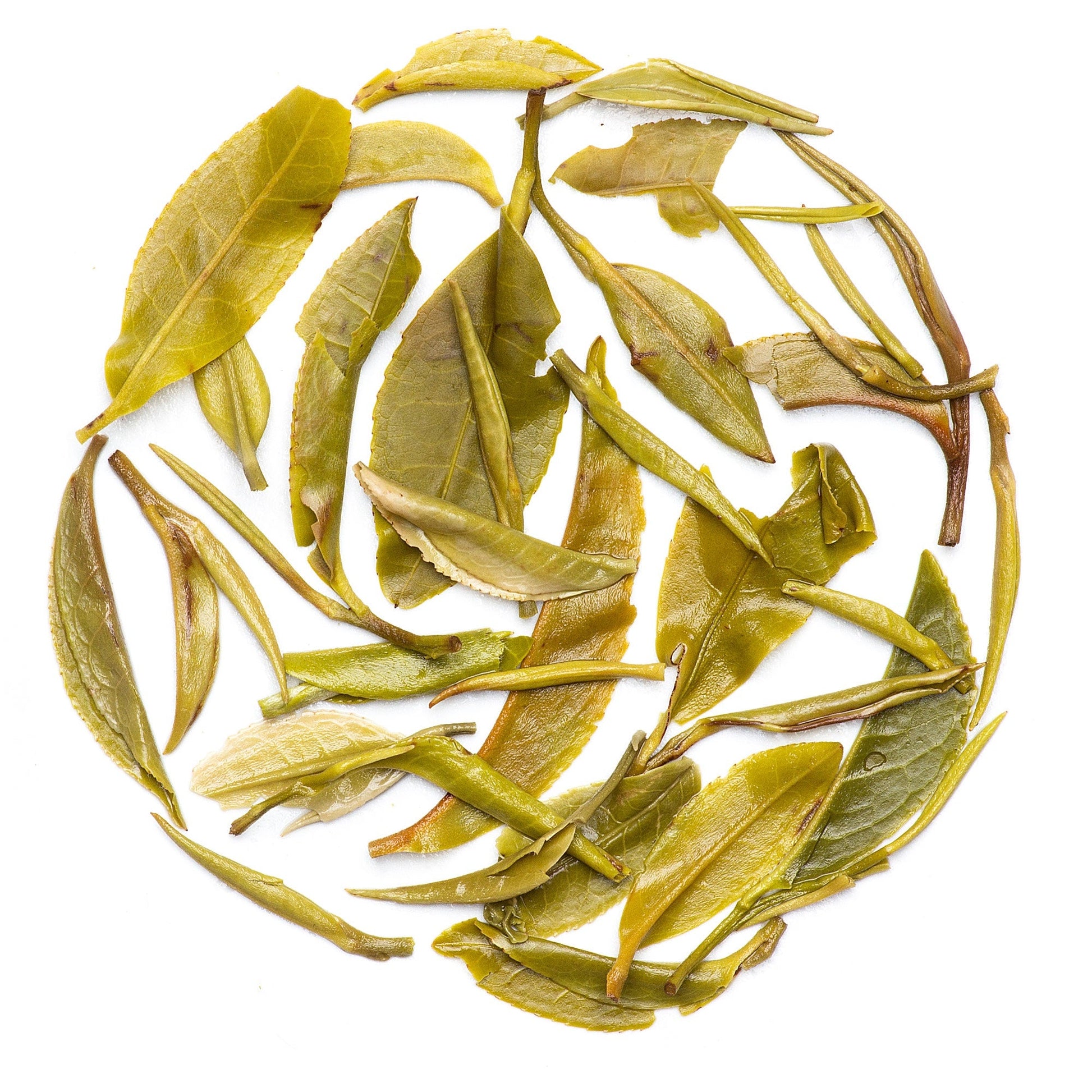 Mayukh Tea - White Tea - The SGR Company